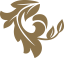 45x41